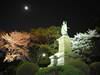 井伊直弼銅像（掃部山公園 神奈川県横浜市）